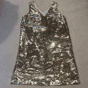 Loft sequin dress
